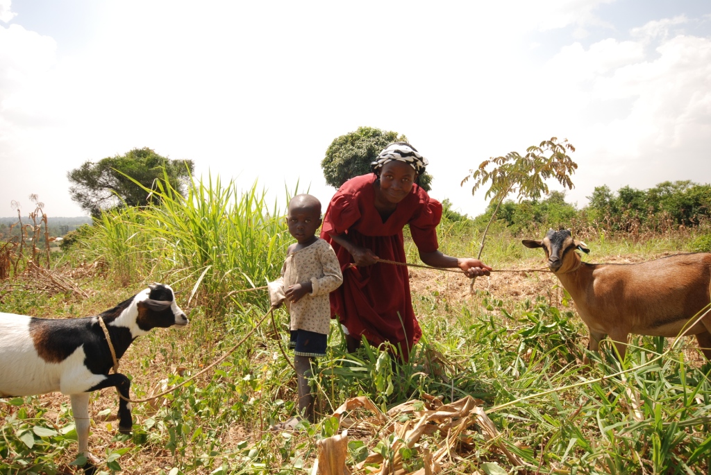 Making small-scale farmers a priority is a must