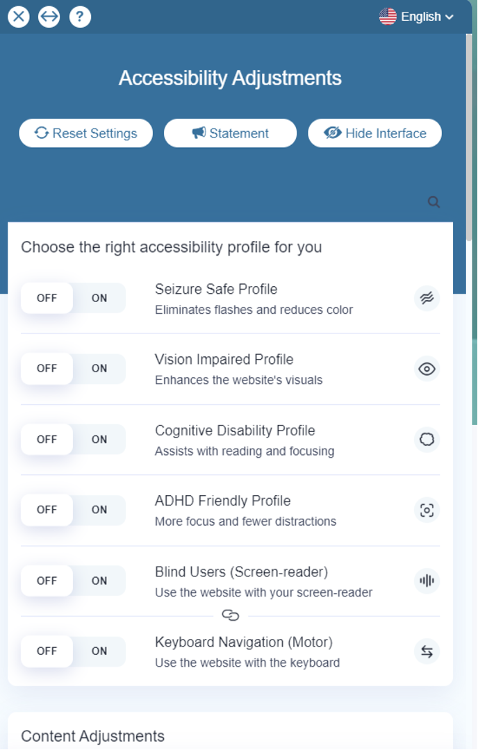 Screenshot of accessibility tool showing accessibility adjustments described in full text above image.