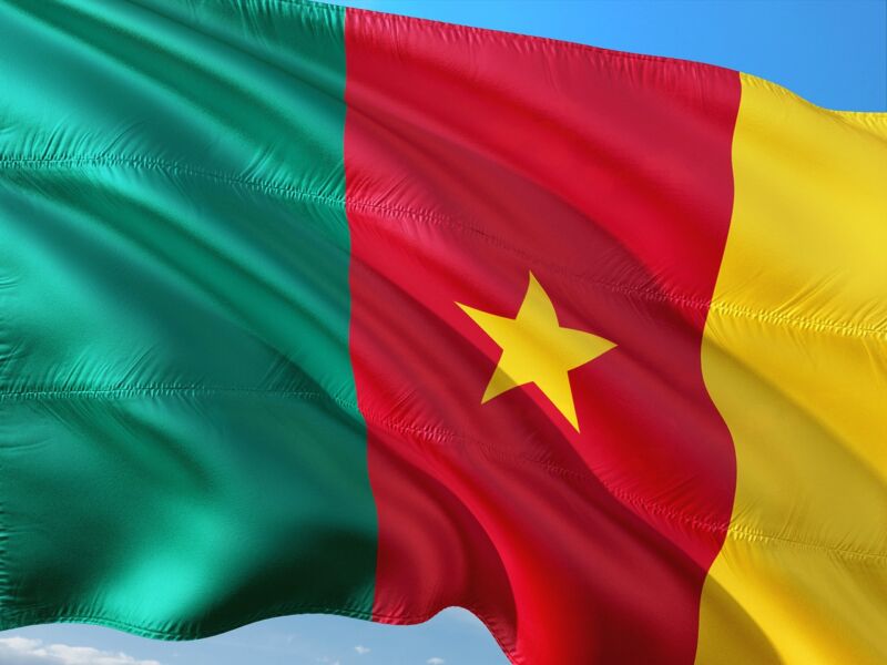 Image for the Tweet beginning: Happy 66th Independence Day, Cameroon!